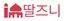 딸즈니